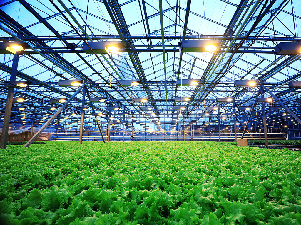 GREENHOUSE HUMIDIFICATION IS PREFERRED WITH THE USEFUL SYSTEMS
