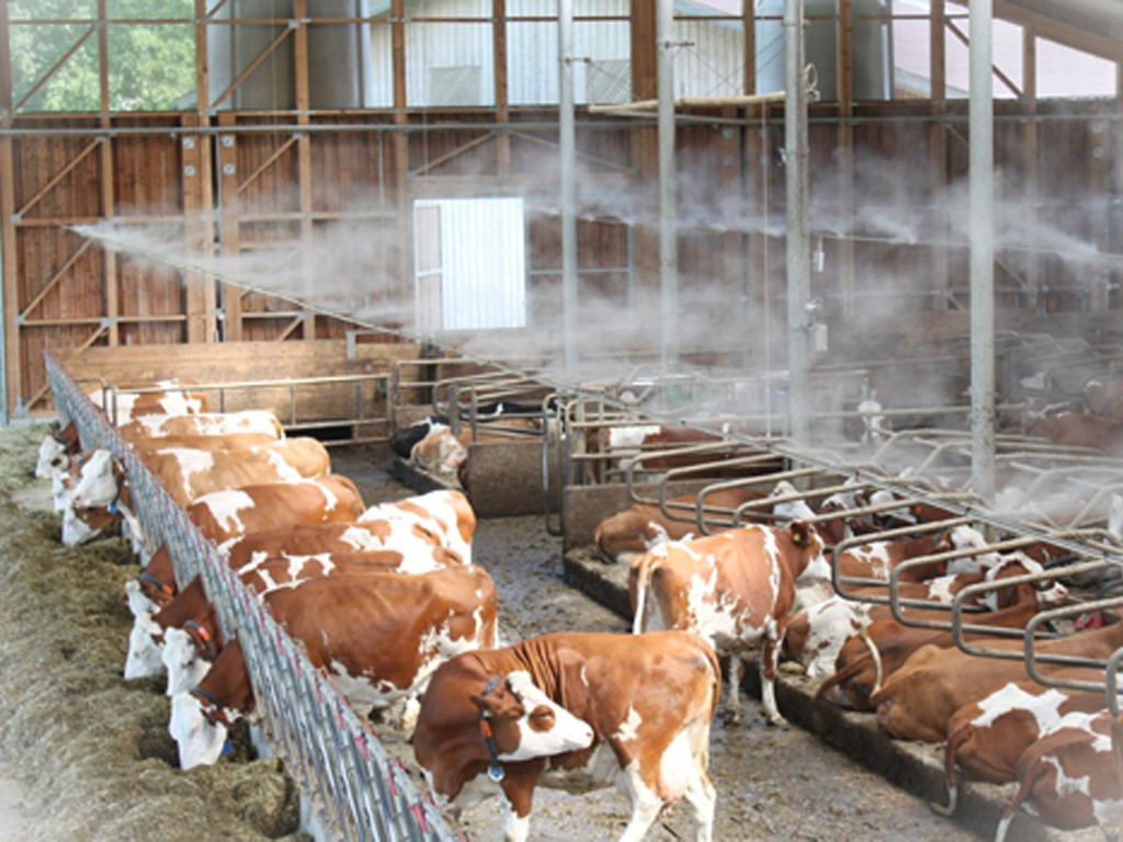 REFRESHMENT IN ANIMAL CARE AND BREEDING FACILITIES WITH A FOGGING SYSTEM
