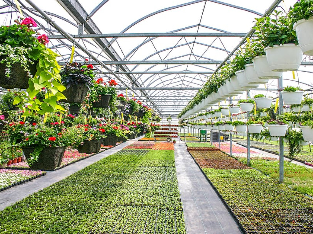 GREENHOUSE HUMIDIFICATION FOR SUCCESSFUL GREENHOUSING