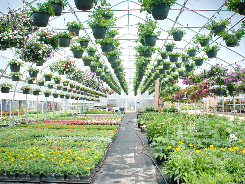 HOW DOES THE GREENHOUSE HUMIDIFICATION SYSTEM WORK?